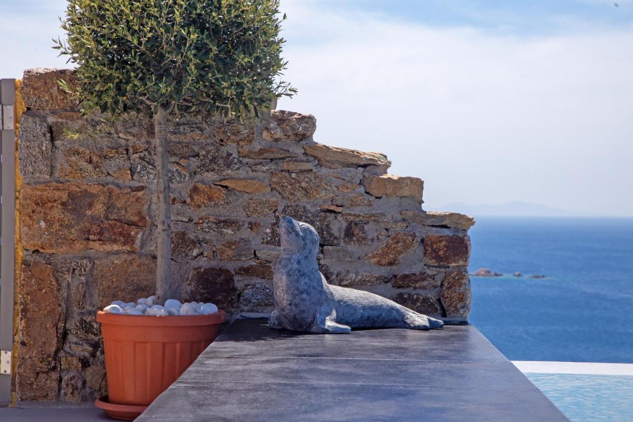 Infinity View Villas Mykonos Kalo Livadi Exterior photo