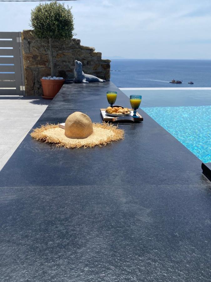 Infinity View Villas Mykonos Kalo Livadi Exterior photo